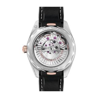 Omega Seamaster Aqua Terra Silver Dial 220.22.41.21.02.001